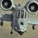 A-10 Thunderbolt II 