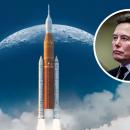 musk