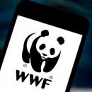 WWF