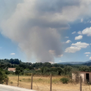 fotia