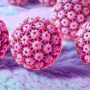 HPV