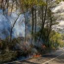 Αλβανία - Φωτιά - Photo by Adnan Beci/AFP
