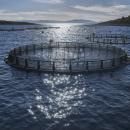 ιχθυοκαλλιεργειες