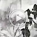 polemos-ukrania-rosia