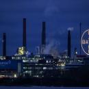 Bayer