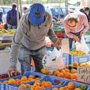 λαικές αγορές