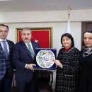 Μουσταφά Ντεστιτζί