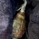 xeirovomvida