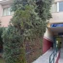 patra