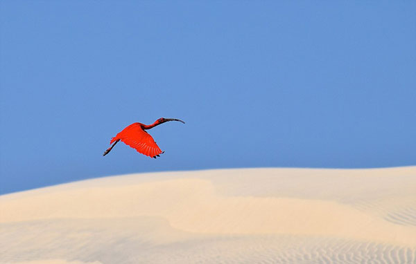 perierga.gr - 17χρονος φωτογράφος πλέει στον κόσμο και απαθανατίζει μοναδικές εικόνες!