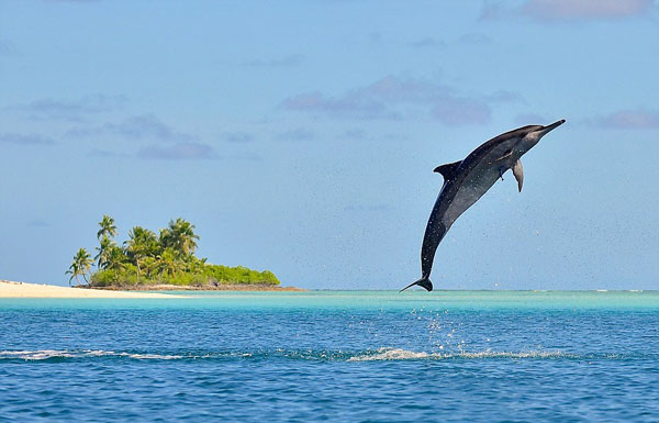 perierga.gr - 17χρονος φωτογράφος πλέει στον κόσμο και απαθανατίζει μοναδικές εικόνες!