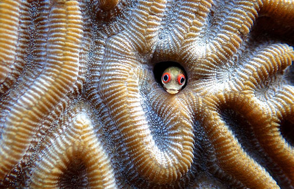 perierga.gr - 17χρονος φωτογράφος πλέει στον κόσμο και απαθανατίζει μοναδικές εικόνες!