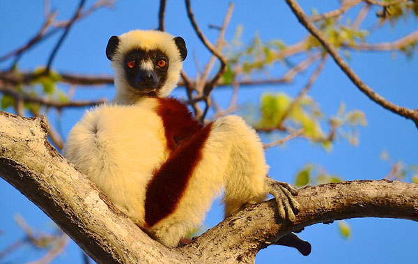 perierga.gr - 17χρονος φωτογράφος πλέει στον κόσμο και απαθανατίζει μοναδικές εικόνες!