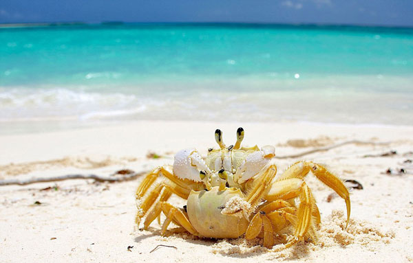 perierga.gr - 17χρονος φωτογράφος πλέει στον κόσμο και απαθανατίζει μοναδικές εικόνες!