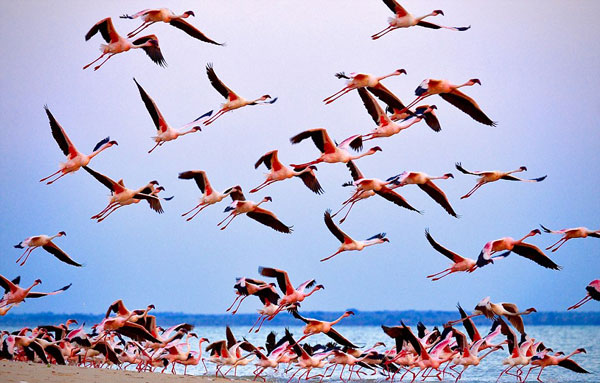 perierga.gr - 17χρονος φωτογράφος πλέει στον κόσμο και απαθανατίζει μοναδικές εικόνες!