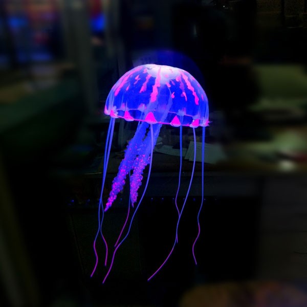 colorjelly5
