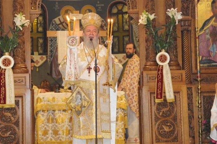 5b. Anastasi 2016 006