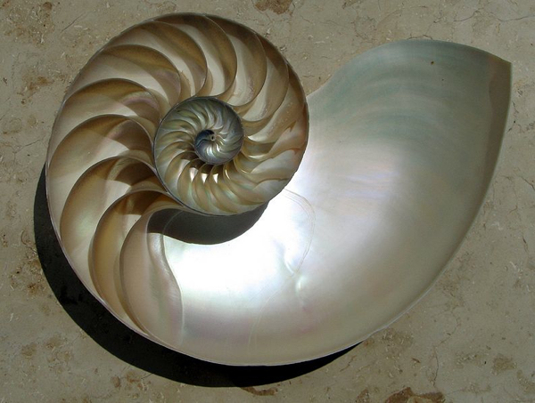 simetri4