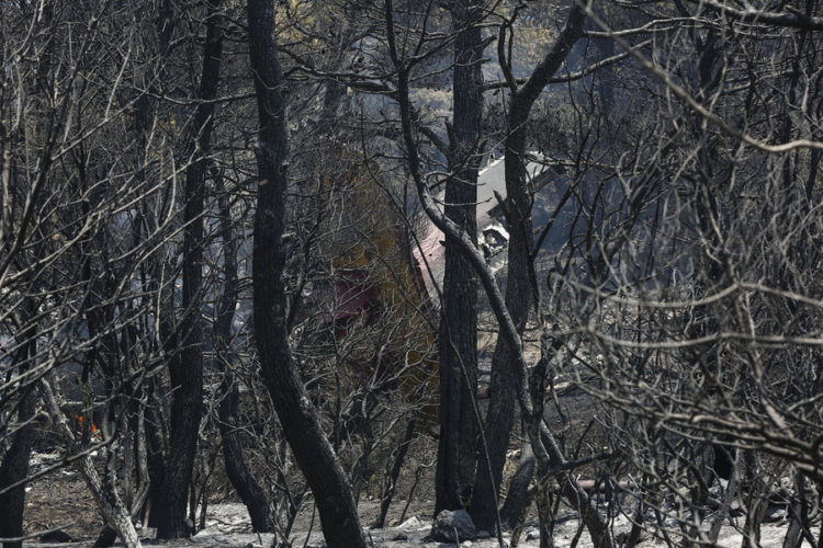Ανεξέλεγκτη η φωτιά στα Δερβενοχώρια -Σε απόσταση αναπνοής από τα σπίτια - Εικόνα8
