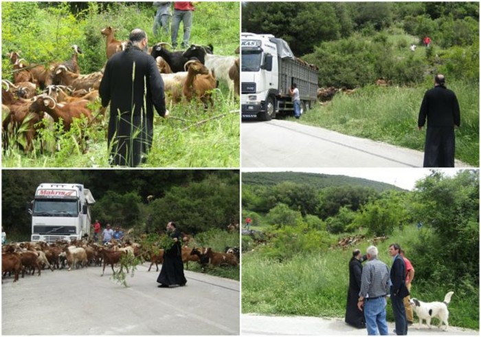 ioanninon3