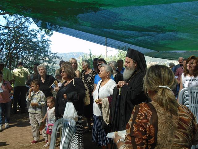 DSC07462 (1)