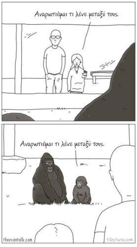 080054062625e3cdbd24c4b8202cb7a8