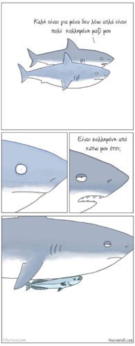 17777fdbfddd64fb658df659e0f64c1f