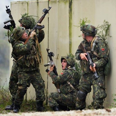 12912668_574444819391242_522605085_n