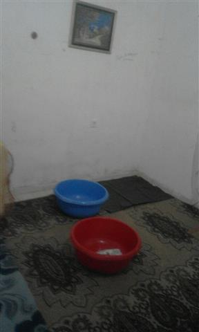 image-0-02-01-702c3293410929c9523ccae2b08bb109d36c0a0a65fc138140957b926427caf4-V