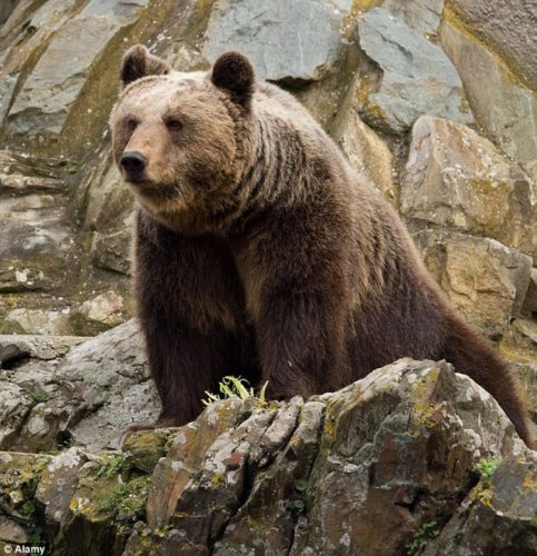 Ζαγοροχώρια: Σαράντα έξι πανέμορφα χωριά σκαρφαλωμένα στα βουνά των Ιωαννίνων