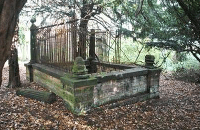 ρομπέν των δασών 