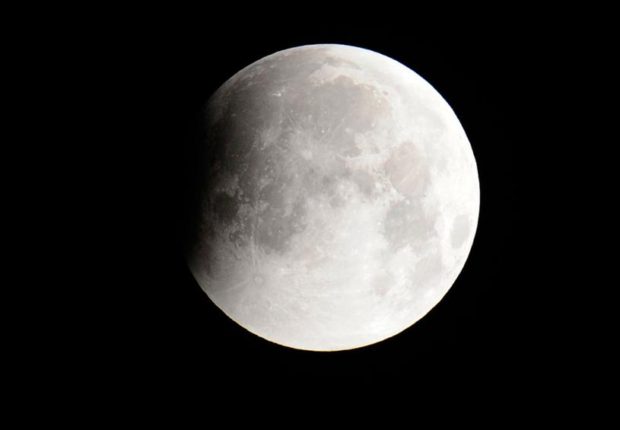 newego_large_t_1101_54261506_type13145