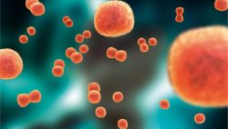 da40a683ad5409eaacd1279fb19164bd