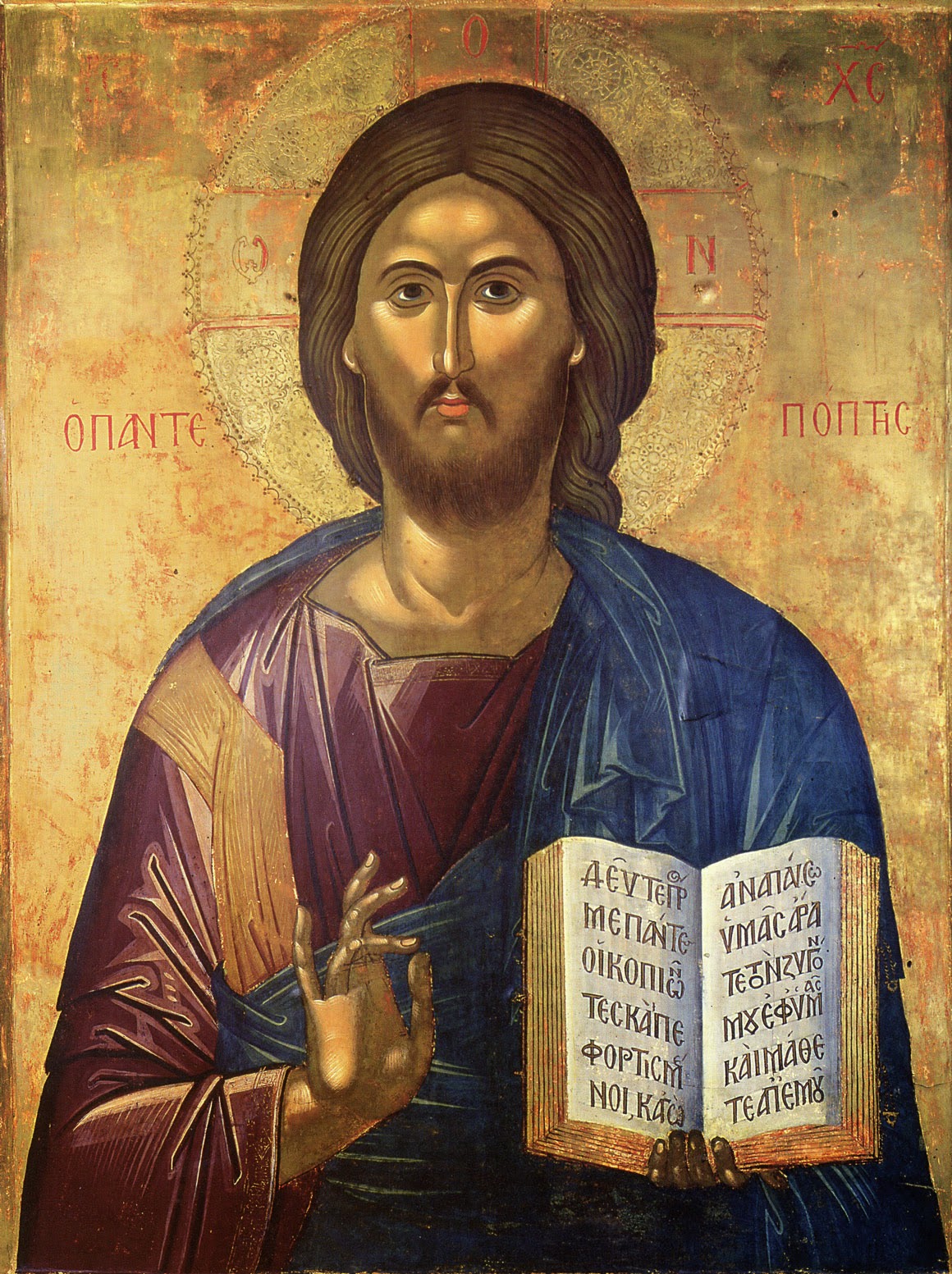  Pentapostagma gr 