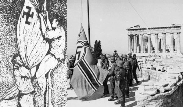 Αφρικανική πουλί βίντεο