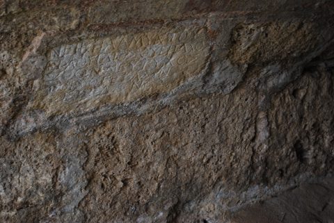 DSC_0238-min-480x321.jpg